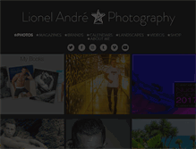 Tablet Screenshot of lionelandre.com